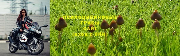 мдпв Волоколамск