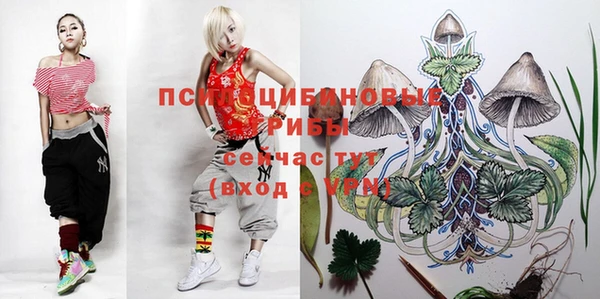 прущая мука Верхний Тагил