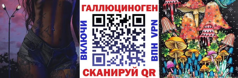 где купить наркотик  Гатчина  Галлюциногенные грибы Magic Shrooms 